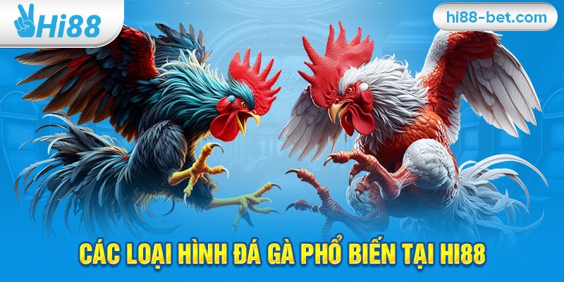 Các Loại Hình Đá Gà Phổ Biến Tại Hi88