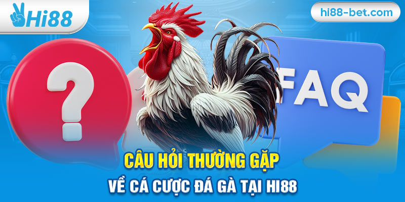 Câu Hỏi Thường Gặp Về Cá Cược Đá Gà Tại Hi88 (FAQ)